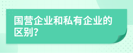 国营企业和私有企业的区别？