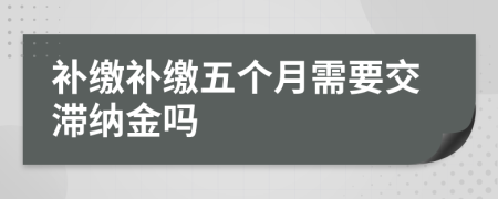 补缴补缴五个月需要交滞纳金吗