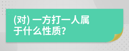 (对) 一方打一人属于什么性质？