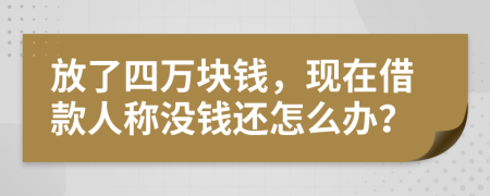 放了四万块钱，现在借款人称没钱还怎么办？