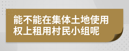 能不能在集体土地使用权上租用村民小组呢