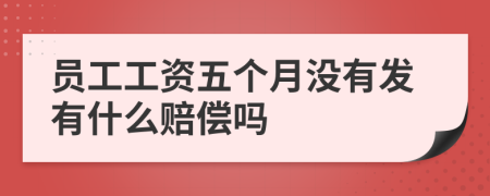 员工工资五个月没有发有什么赔偿吗