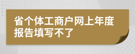 省个体工商户网上年度报告填写不了