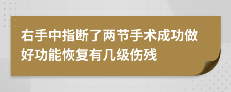 右手中指断了两节手术成功做好功能恢复有几级伤残
