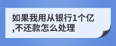 如果我用从银行1个亿,不还款怎么处理