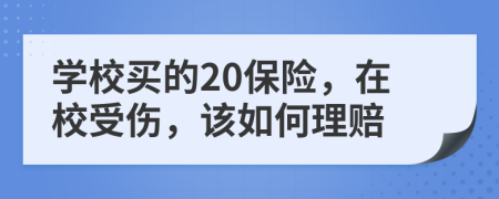 学校买的20保险，在校受伤，该如何理赔