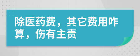 除医药费，其它费用咋算，伤有主责