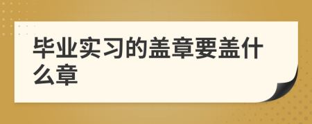 毕业实习的盖章要盖什么章
