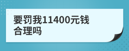 要罚我11400元钱合理吗