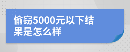 偷窃5000元以下结果是怎么样