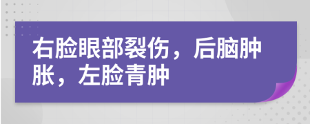 右脸眼部裂伤，后脑肿胀，左脸青肿