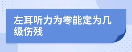 左耳听力为零能定为几级伤残
