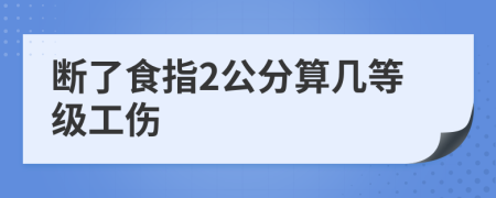 断了食指2公分算几等级工伤