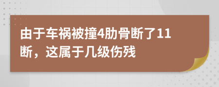 由于车祸被撞4肋骨断了11断，这属于几级伤残