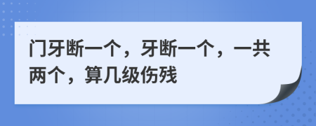 门牙断一个，牙断一个，一共两个，算几级伤残