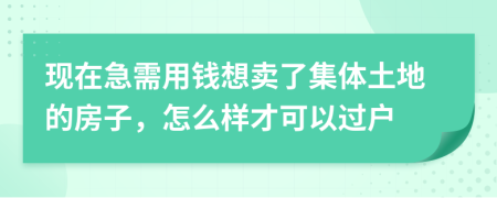 现在急需用钱想卖了集体土地的房子，怎么样才可以过户