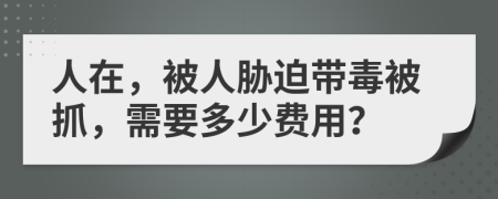 人在，被人胁迫带毒被抓，需要多少费用？