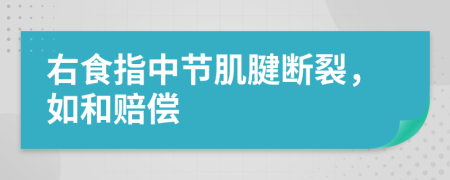 右食指中节肌腱断裂，如和赔偿