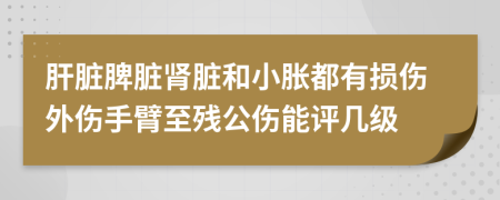 肝脏脾脏肾脏和小胀都有损伤外伤手臂至残公伤能评几级