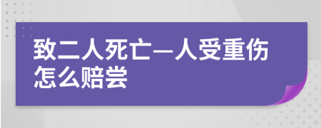 致二人死亡—人受重伤怎么赔尝