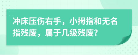 冲床压伤右手，小拇指和无名指残废，属于几级残废？