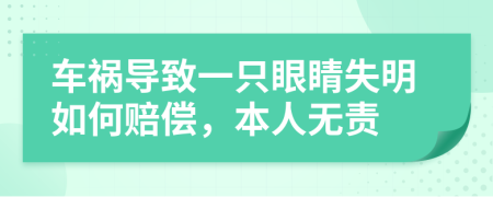 车祸导致一只眼睛失明如何赔偿，本人无责