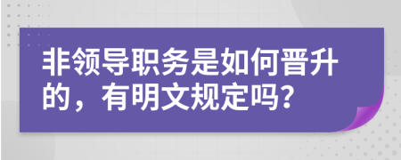 非领导职务是如何晋升的，有明文规定吗？
