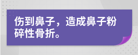 伤到鼻子，造成鼻子粉碎性骨折。