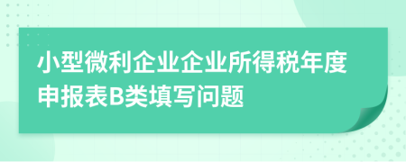 小型微利企业企业所得税年度申报表B类填写问题