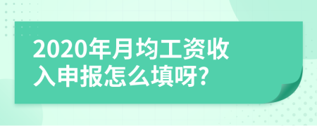 2020年月均工资收入申报怎么填呀?