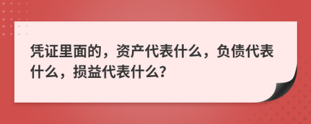 凭证里面的，资产代表什么，负债代表什么，损益代表什么？