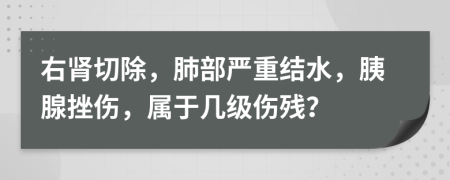 右肾切除，肺部严重结水，胰腺挫伤，属于几级伤残？