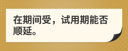 在期间受，试用期能否顺延。