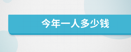 今年一人多少钱