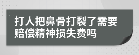 打人把鼻骨打裂了需要赔偿精神损失费吗