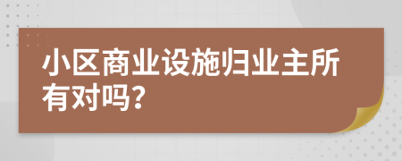 小区商业设施归业主所有对吗？