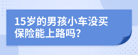 15岁的男孩小车没买保险能上路吗？