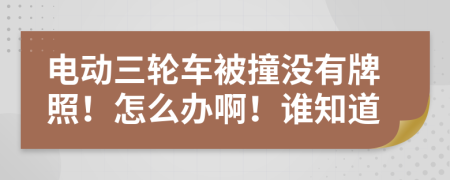 电动三轮车被撞没有牌照！怎么办啊！谁知道