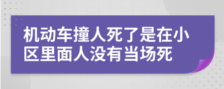 机动车撞人死了是在小区里面人没有当场死