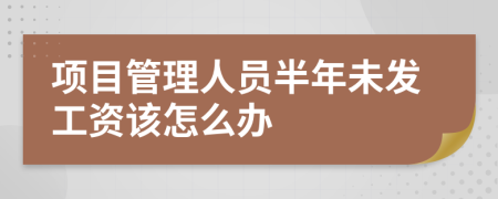 项目管理人员半年未发工资该怎么办