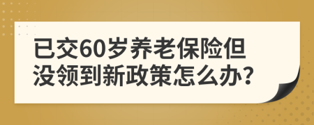 已交60岁养老保险但没领到新政策怎么办？