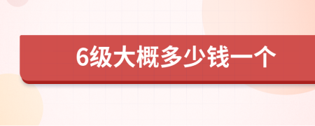 6级大概多少钱一个