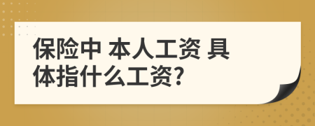 保险中 本人工资 具体指什么工资?