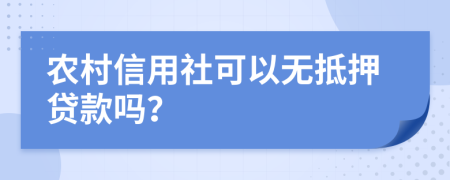 农村信用社可以无抵押贷款吗？