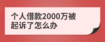 个人借款2000万被起诉了怎么办