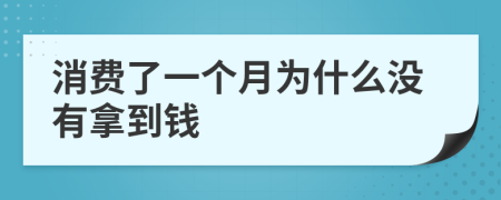 消费了一个月为什么没有拿到钱