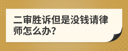 二审胜诉但是没钱请律师怎么办？