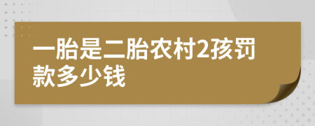 一胎是二胎农村2孩罚款多少钱