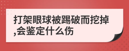 打架眼球被踢破而挖掉,会鉴定什么伤