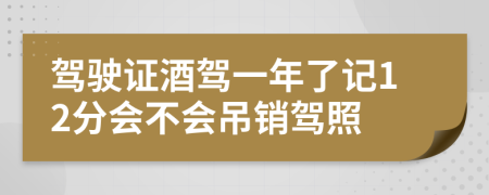 驾驶证酒驾一年了记12分会不会吊销驾照